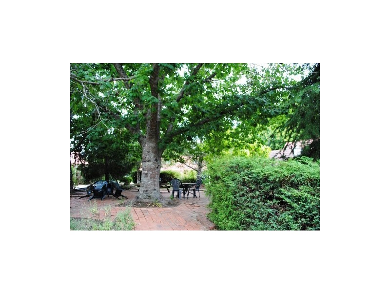 1-5 Racecourse Rd, Bright VIC 3741