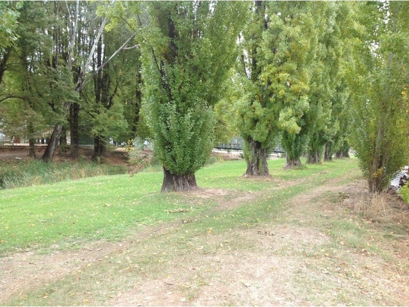 143 JJ’s Myrtle St, Myrtleford VIC 3737