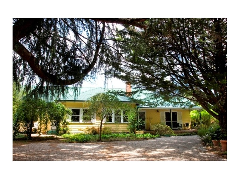 54 Delany Ave, Bright VIC 3741