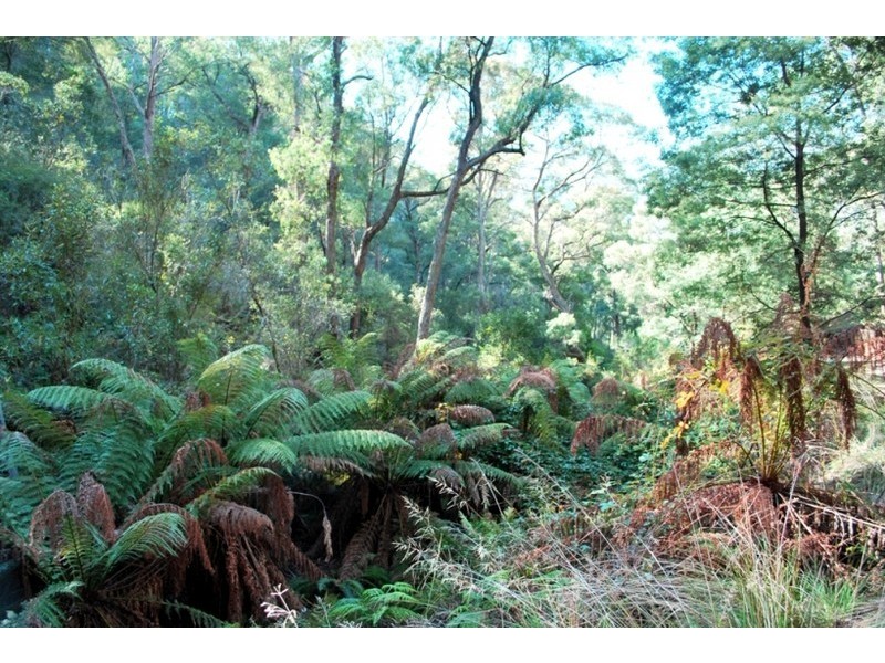 1934 Great Alpine Rd, Harrietville, Bright VIC 3741