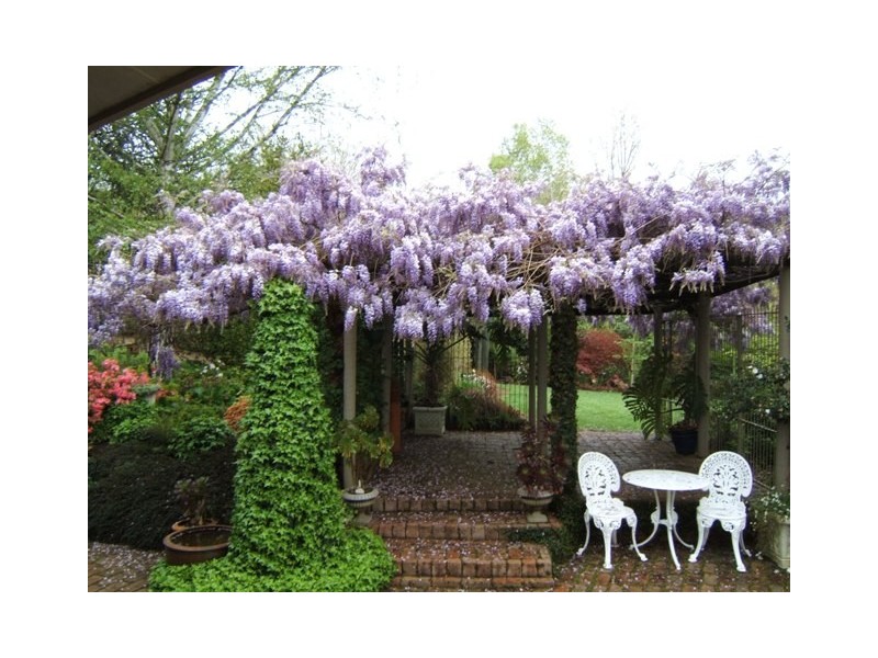 134 Yackandandah-Wodonga Rd, Yackandandah VIC 3749