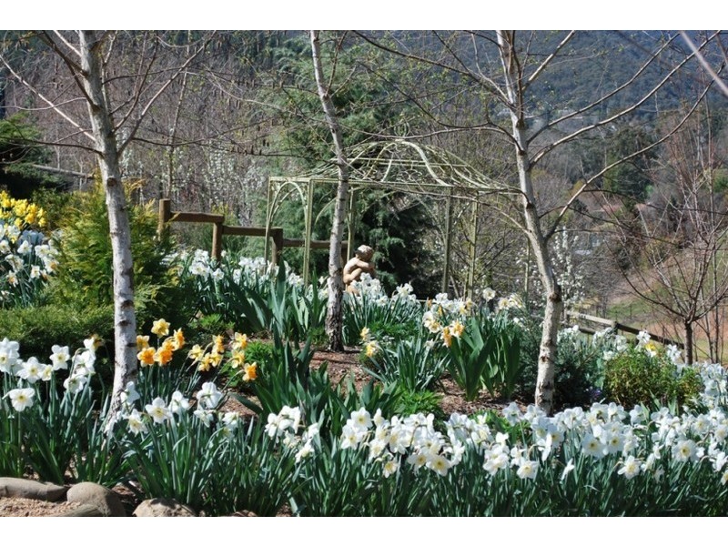 12 Walnut Grove, Bright VIC 3741