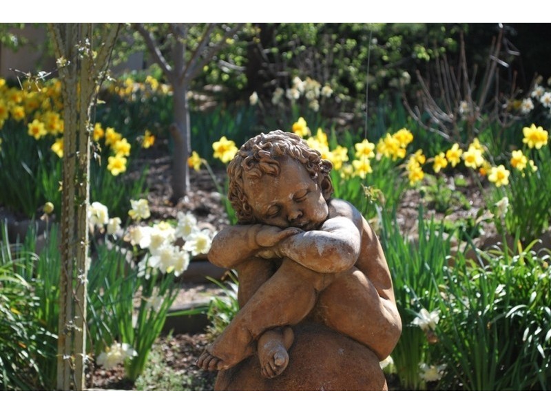 12 Walnut Grove, Bright VIC 3741