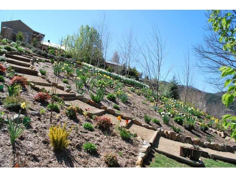 12 Walnut Grove, Bright VIC 3741