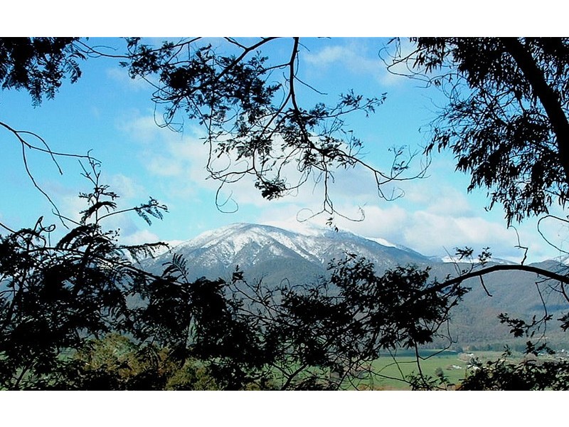 4 Stewarts Rd, Tawonga Sth, Mount Beauty VIC 3699