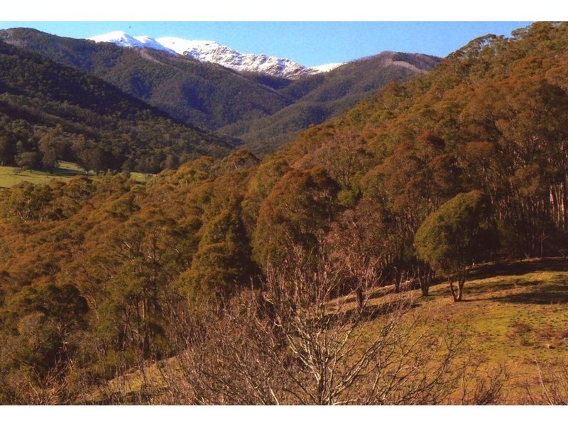 462 Great Alpine Road, Bright VIC 3741