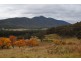 462 Great Alpine Road, Bright VIC 3741