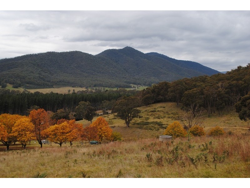 462 Great Alpine Road, Bright VIC 3741