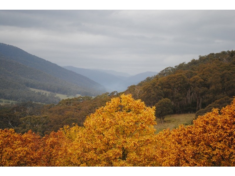 462 Great Alpine Road, Bright VIC 3741