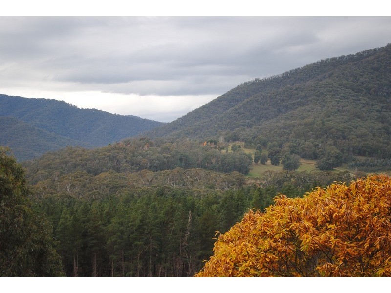 462 Great Alpine Road, Bright VIC 3741