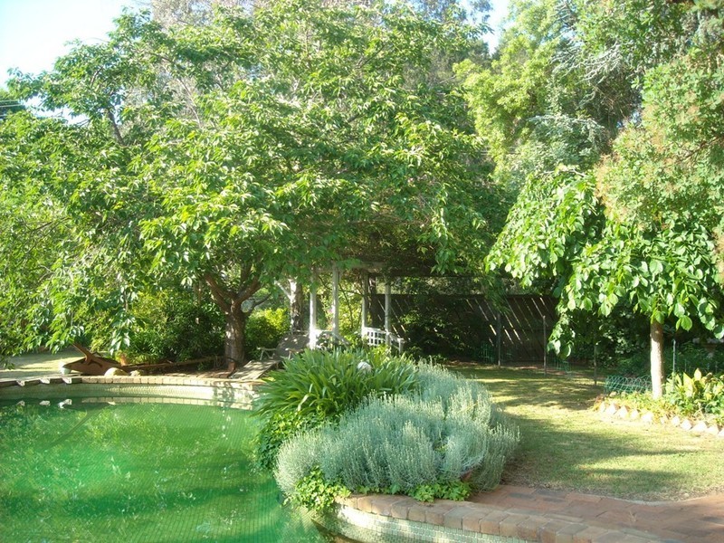 54 Mountbatten Ave, Bright VIC 3741