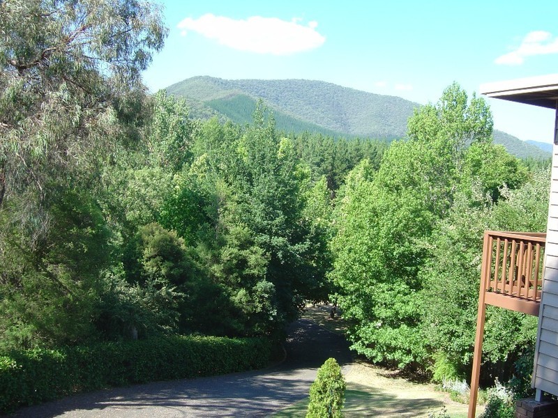 166 Delany Ave, Bright VIC 3741