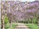 14  Gavan St, Bright VIC 3741