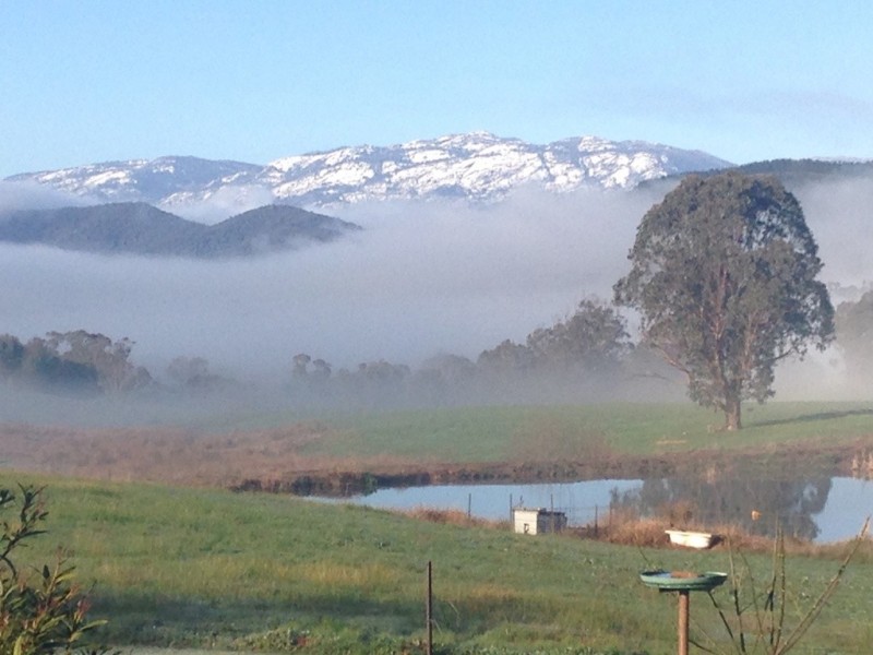 10 Hicks Rd, Mudgegonga VIC 3737