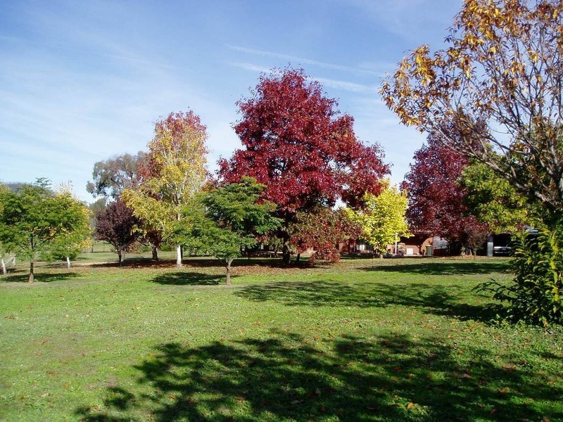 10 Hicks Rd, Mudgegonga VIC 3737