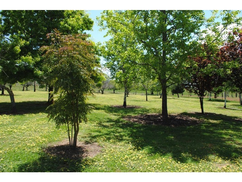 10 Hicks Rd, Mudgegonga VIC 3737