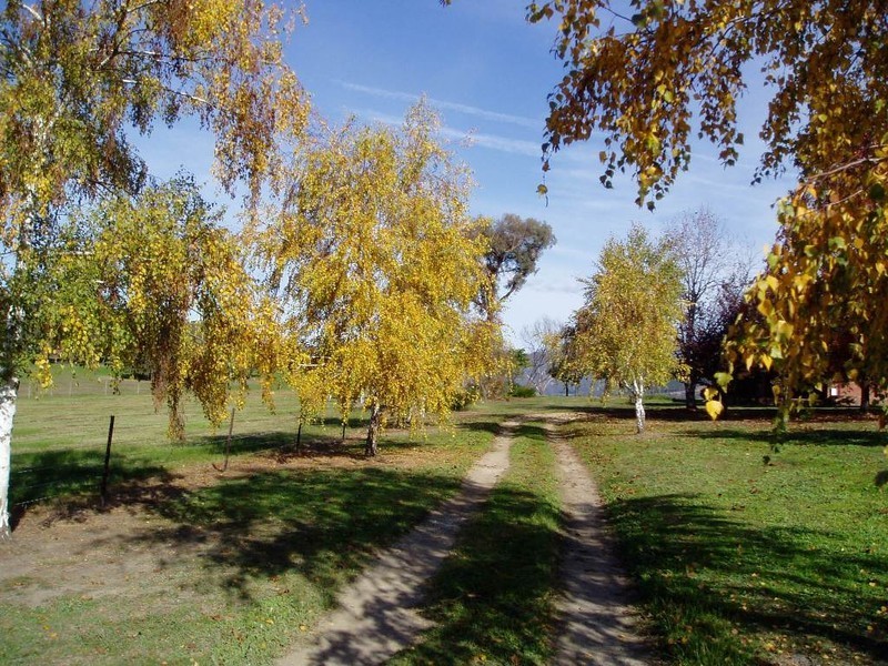 10 Hicks Rd, Mudgegonga VIC 3737