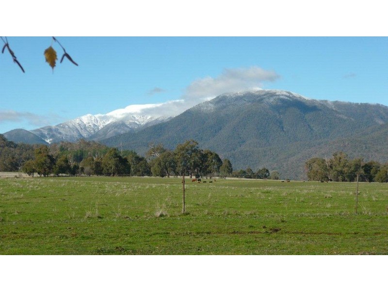 32  Cottrells Lane, Tawonga VIC 3697