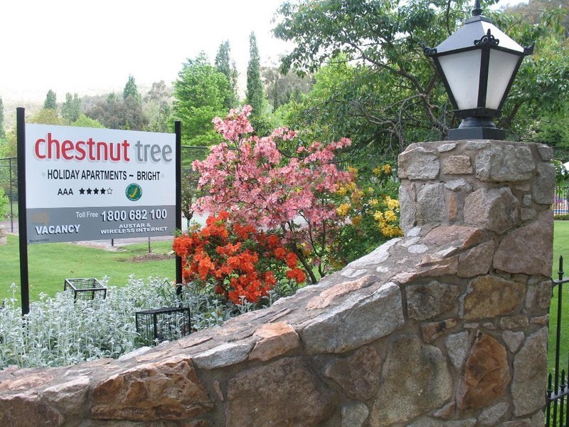 154 – 158 Delany Ave, Bright VIC 3741