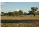 2336 Great Alpine Road, Everton VIC 3678