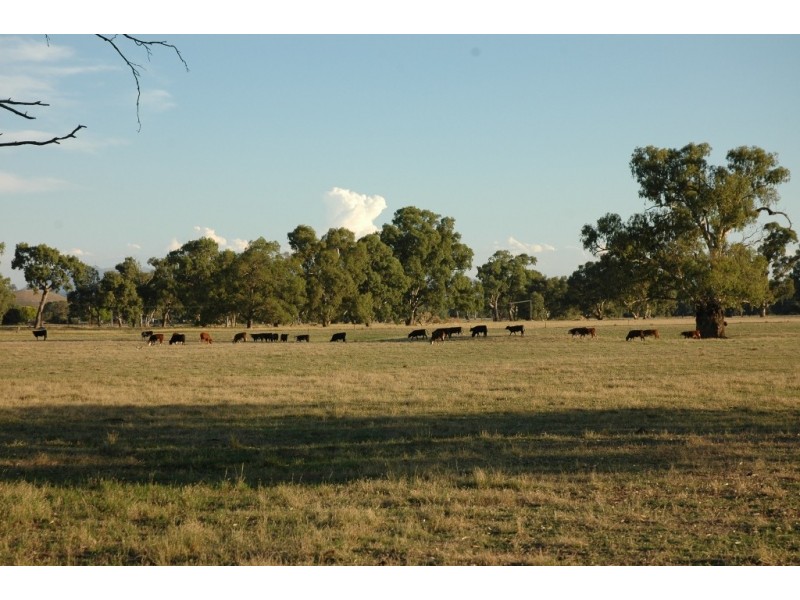 2336 Great Alpine Road, Everton VIC 3678