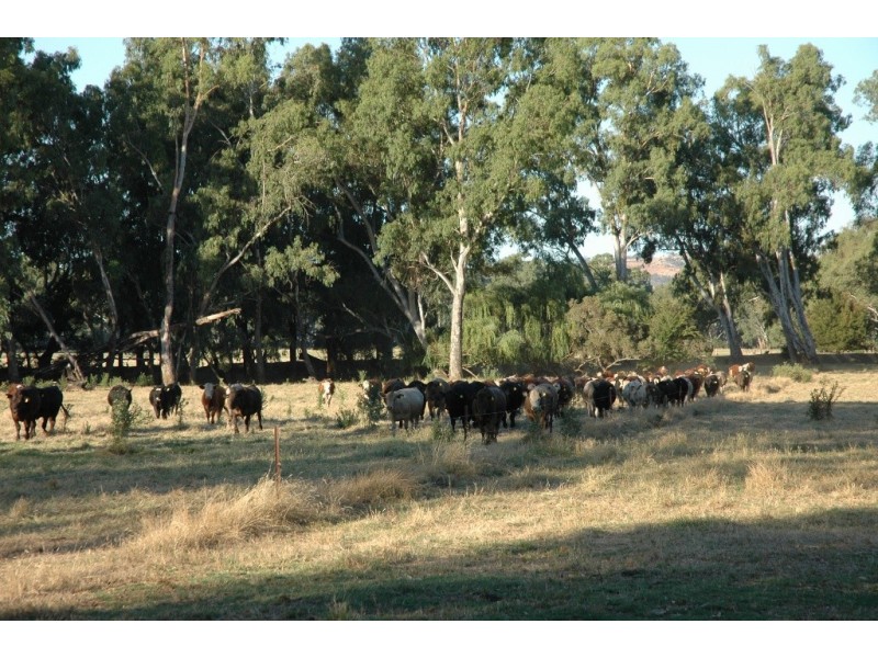 2336 Great Alpine Road, Everton VIC 3678