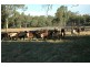 2336 Great Alpine Road, Everton VIC 3678