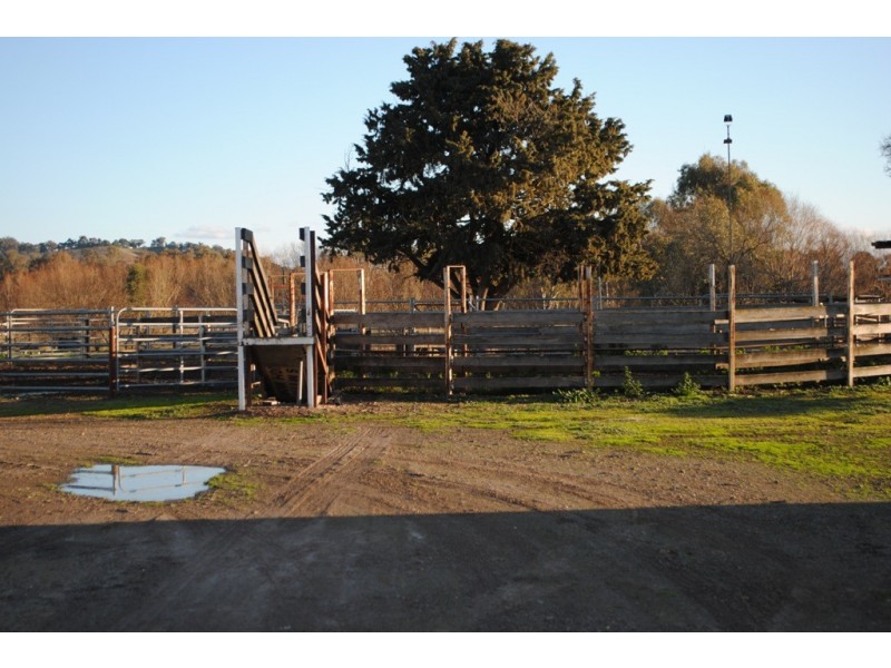2336 Great Alpine Road, Everton VIC 3678