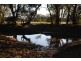 2336 Great Alpine Road, Everton VIC 3678