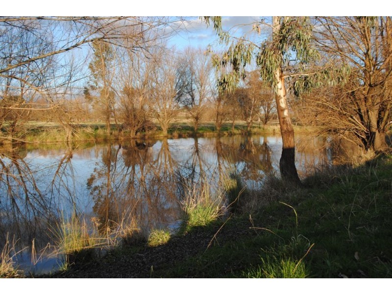 2336 Great Alpine Road, Everton VIC 3678
