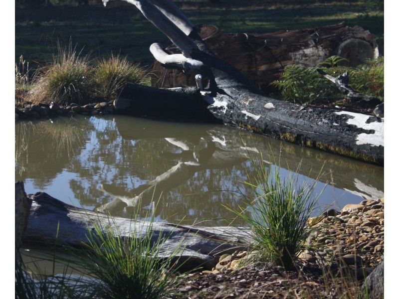 570 Myrtleford – Stanley Rd, Stanley VIC 3747