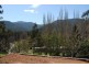 Lot 1 7 Houghs Lane, Bright VIC 3741