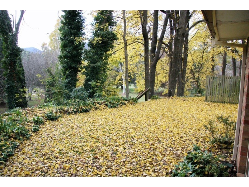 Unit 3 / 99 Delany Ave, Bright VIC 3741