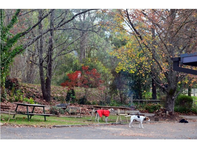 1 A Riverside Ave, Bright VIC 3741