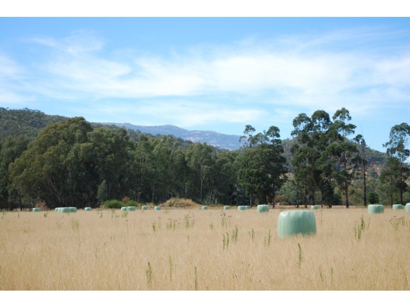 299 Merriang South Road, Merriang South VIC 3737