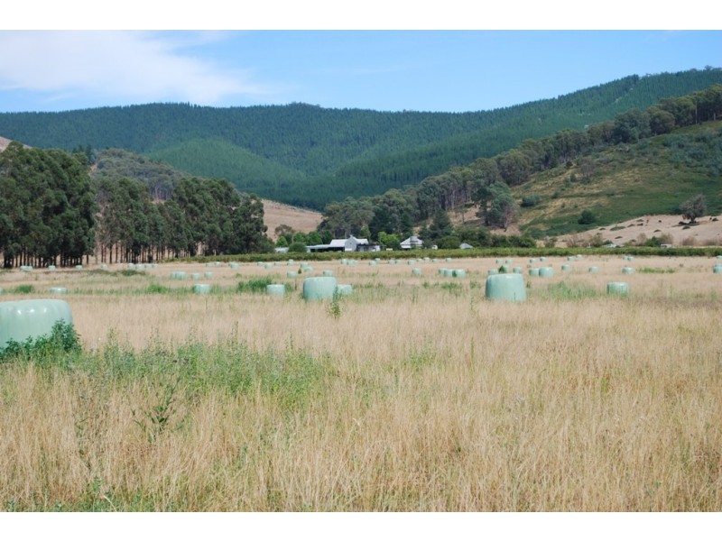 299 Merriang South Road, Merriang South VIC 3737