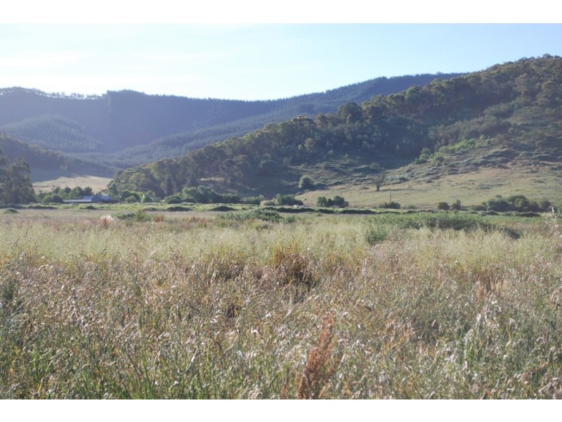 299 Merriang South Road, Merriang South VIC 3737