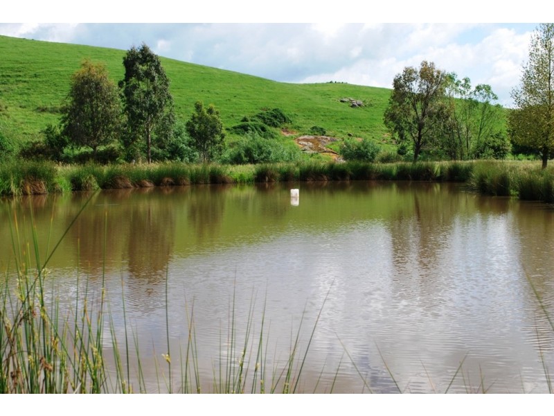 1417 Myrtleford – Yackandandah Rd, Mudgegonga VIC 3737