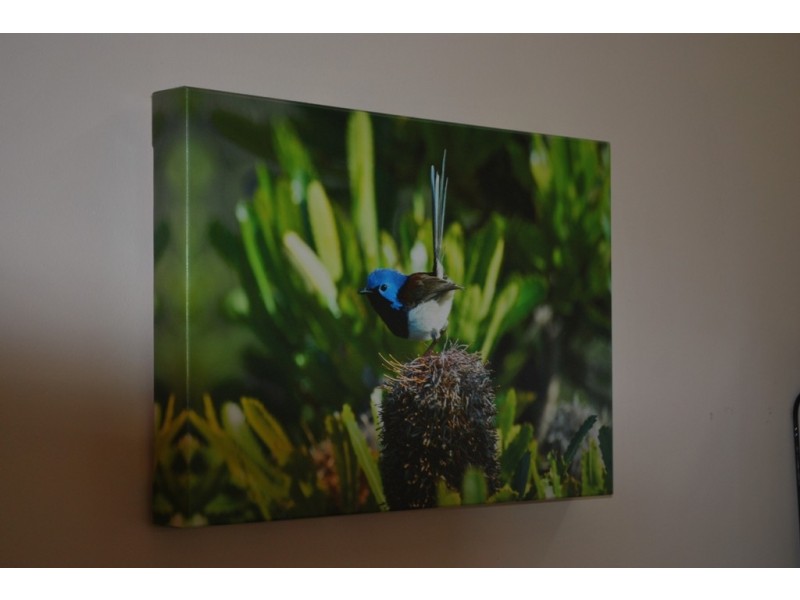 53 Gavan Street, Bright VIC 3741