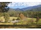 1191 Buckland Valley Road, Buckland VIC 3740
