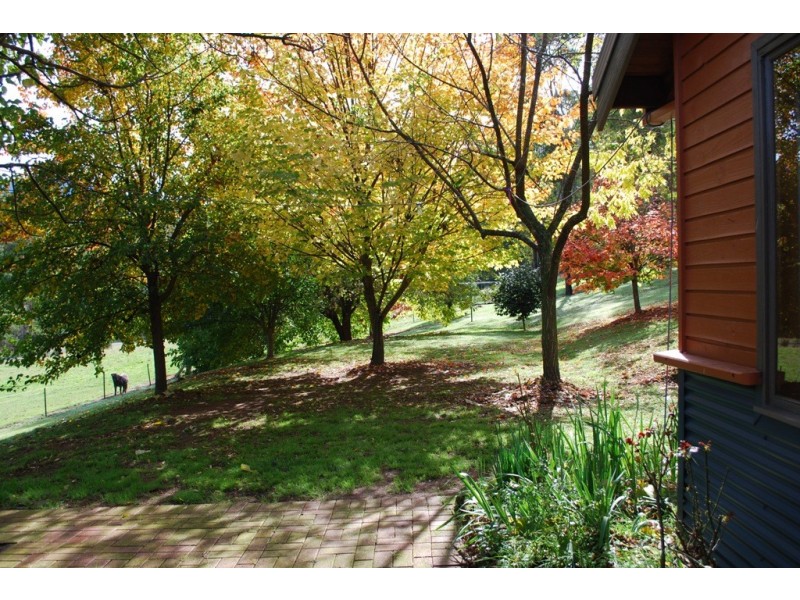 1191 Buckland Valley Road, Buckland VIC 3740