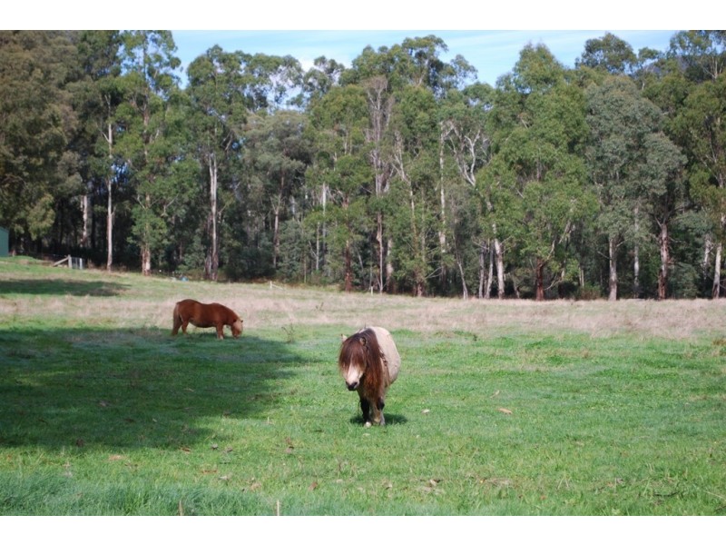 1191 Buckland Valley Road, Buckland VIC 3740