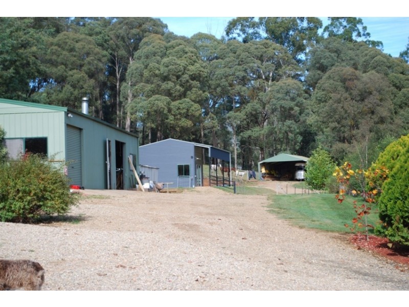 1191 Buckland Valley Road, Buckland VIC 3740