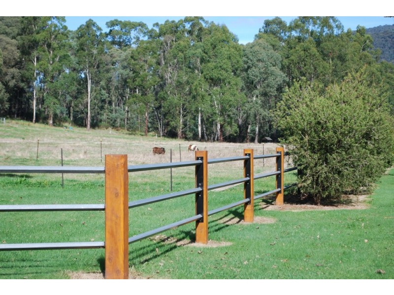 1191 Buckland Valley Road, Buckland VIC 3740