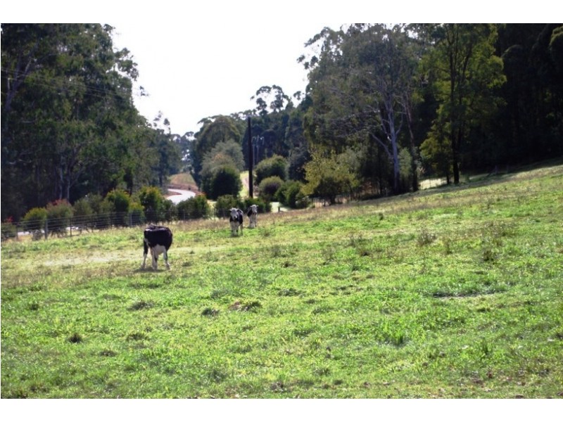 1191 Buckland Valley Road, Buckland VIC 3740