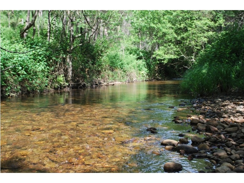 Lot 1 Morses Creek Road, Wandiligong VIC 3744