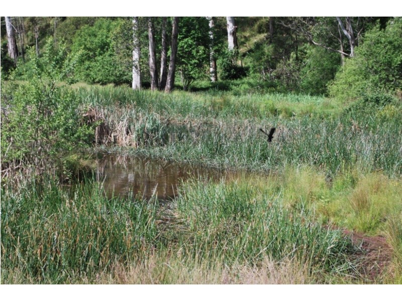 Lot 1 Morses Creek Road, Wandiligong VIC 3744