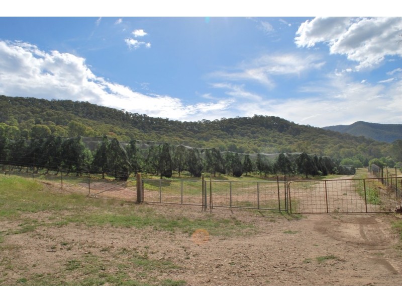 4 Growlers Creek Road, Wandiligong VIC 3744