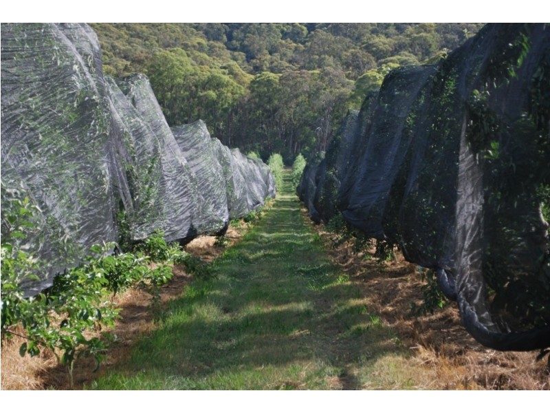 4 Growlers Creek Road, Wandiligong VIC 3744