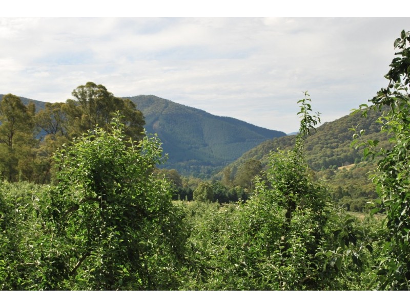 4 Growlers Creek Road, Wandiligong VIC 3744